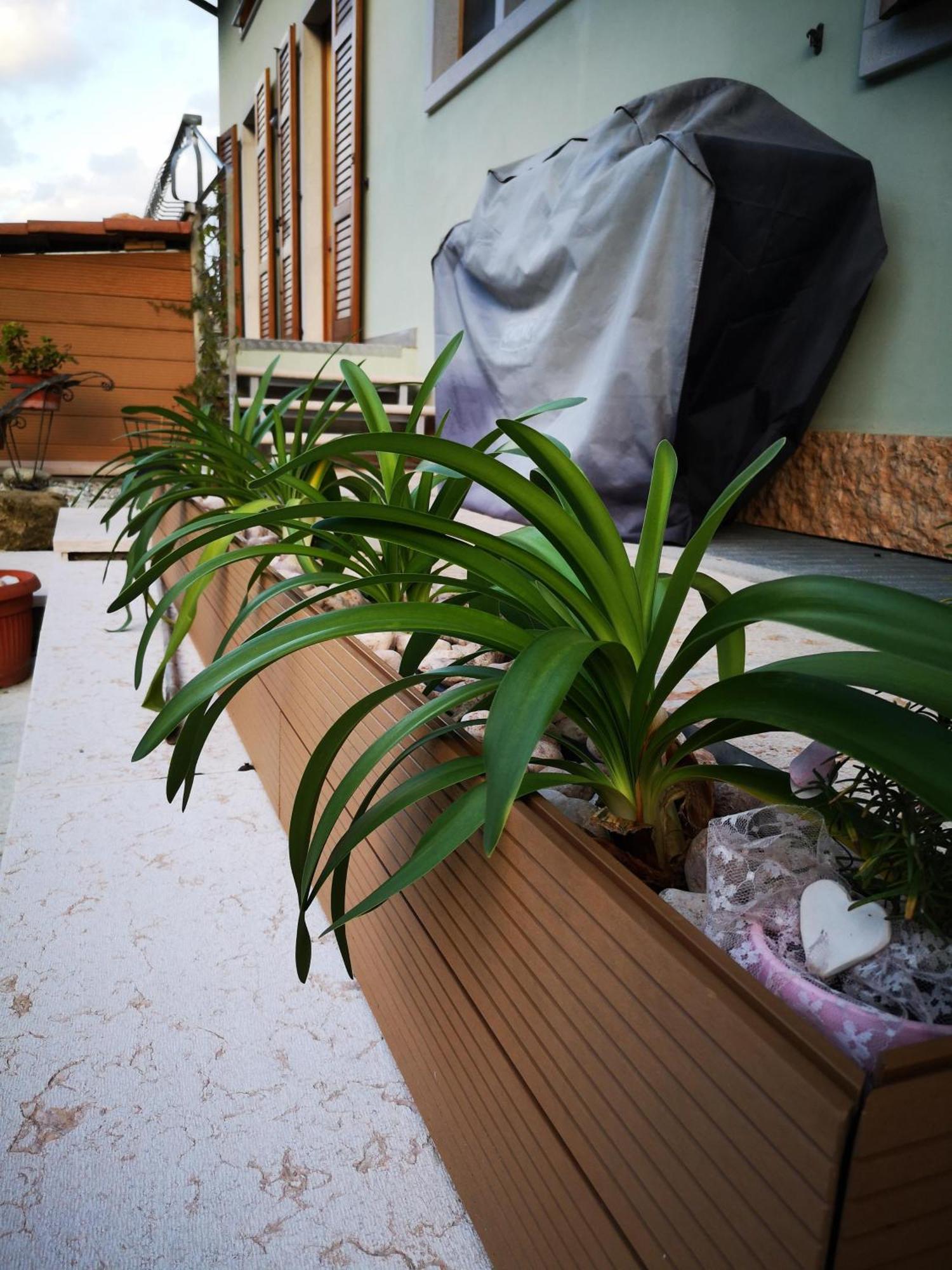Apartment Sweet Retreat Dro Dış mekan fotoğraf